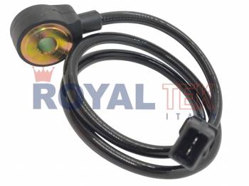 RT 31079